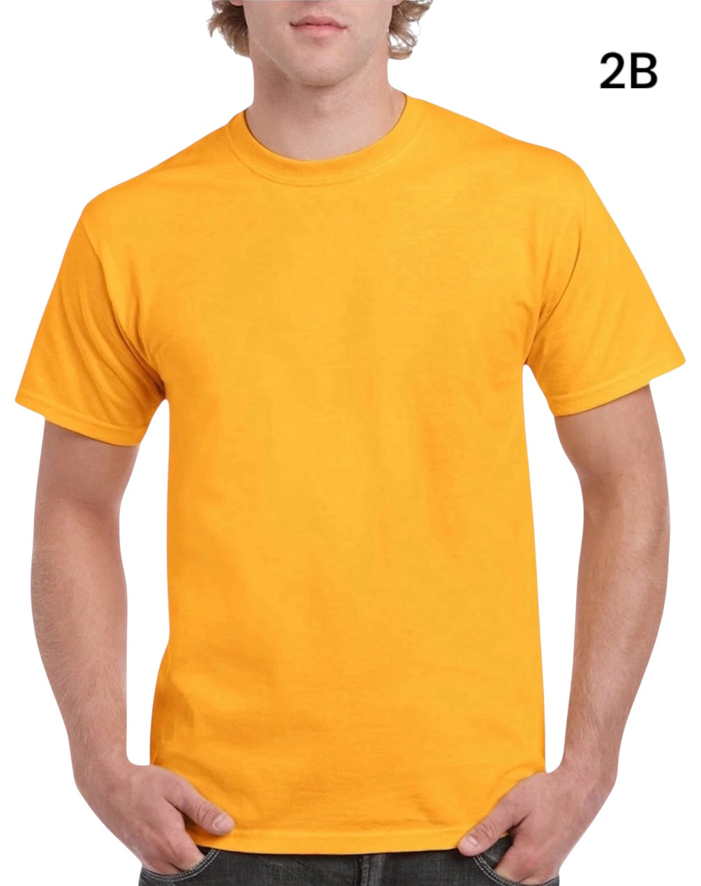 GILDAN Heavy Cotton G5000 Adult T-shirt 5.3 oz (153 gm) (2XL,3XL, 4XL, 5XL)